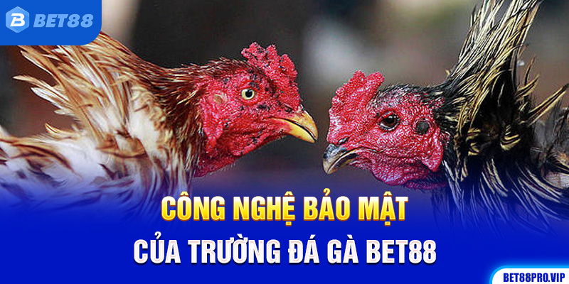 Công Nghệ Bảo Mật Của Trường Đá Gà Bet88