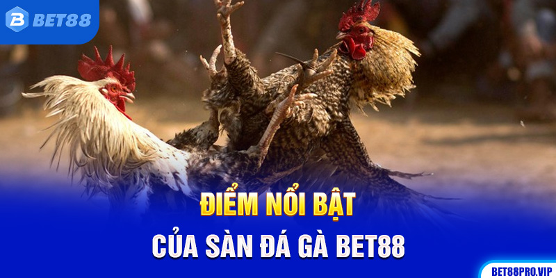 Điểm Nổi Bật Của Sàn Đá Gà Bet88