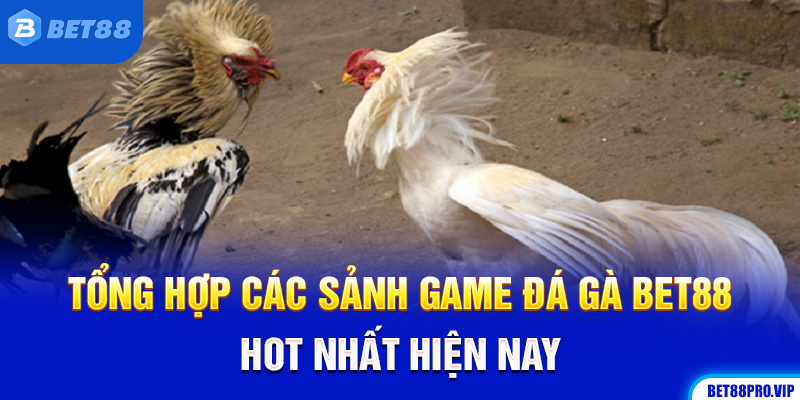 Tổng Hợp Các Sảnh Game Đá Gà Bet88 Hot Nhất Hiện Nay